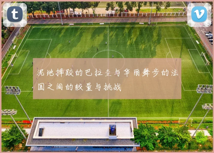 泥地摔跤的巴拉圭与华丽舞步的法国之间的较量与挑战