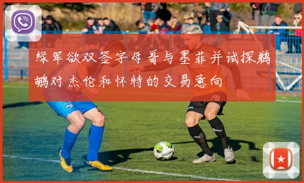 绿军欲双签字母哥与墨菲并试探鹈鹕对杰伦和怀特的交易意向